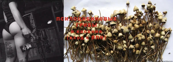 MDMA Premium VHQ Богородицк
